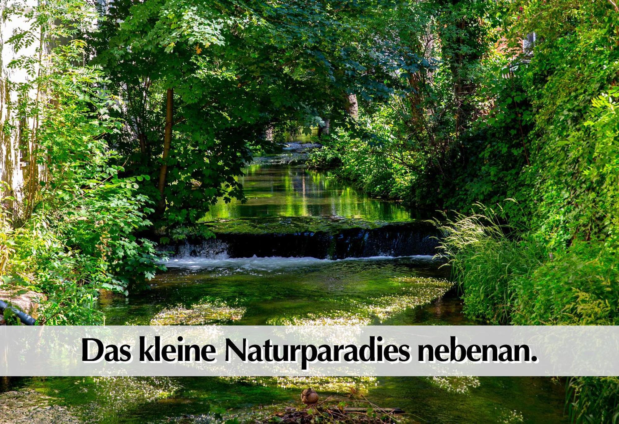 Stadtperle Am Plaetschernden Wasser - 50M2 2R Malerische Fewo In Top Lage Erfurt Exterior foto
